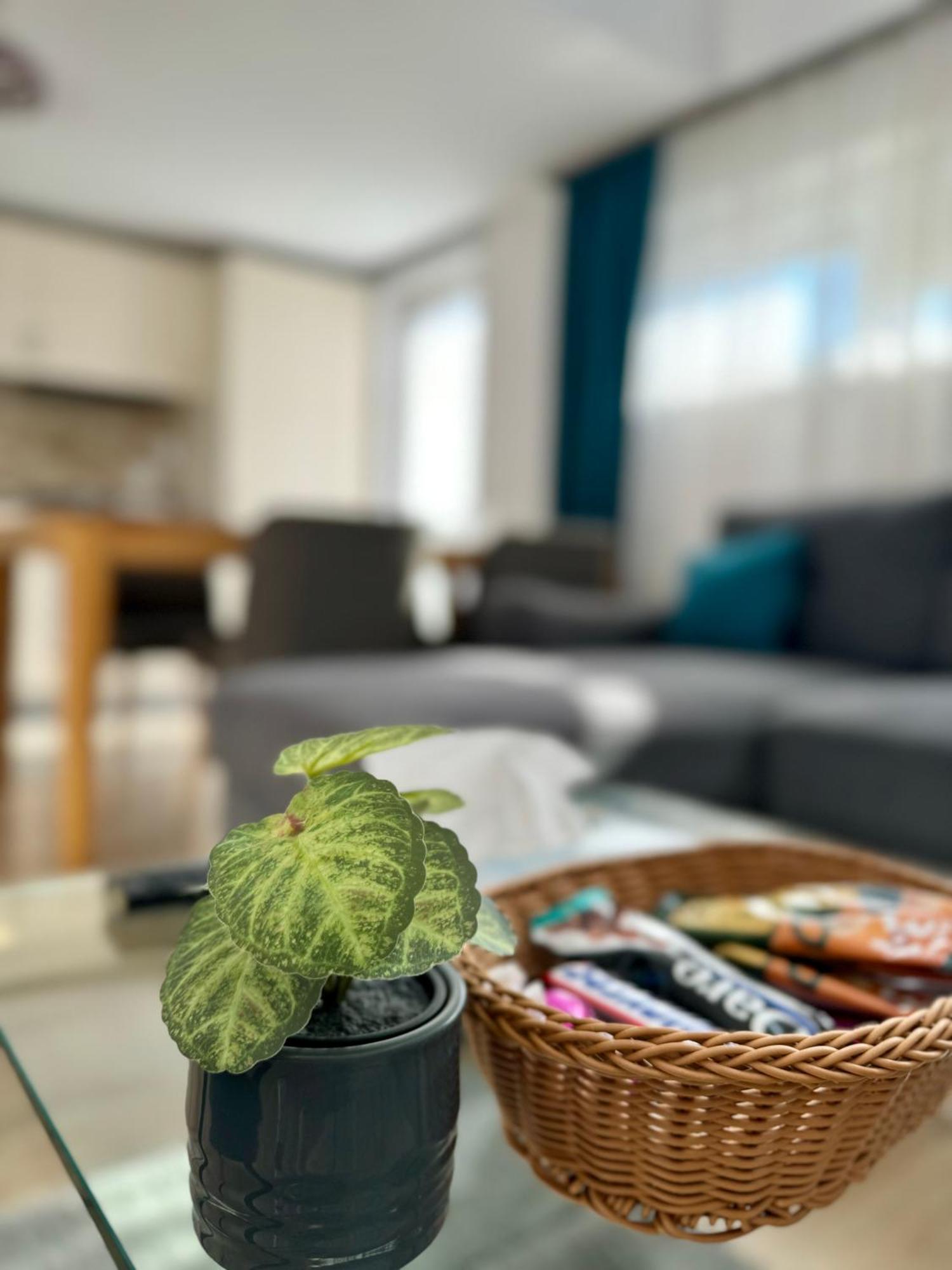 Citadel Duplex Suites 12 Sighișoara Zewnętrze zdjęcie